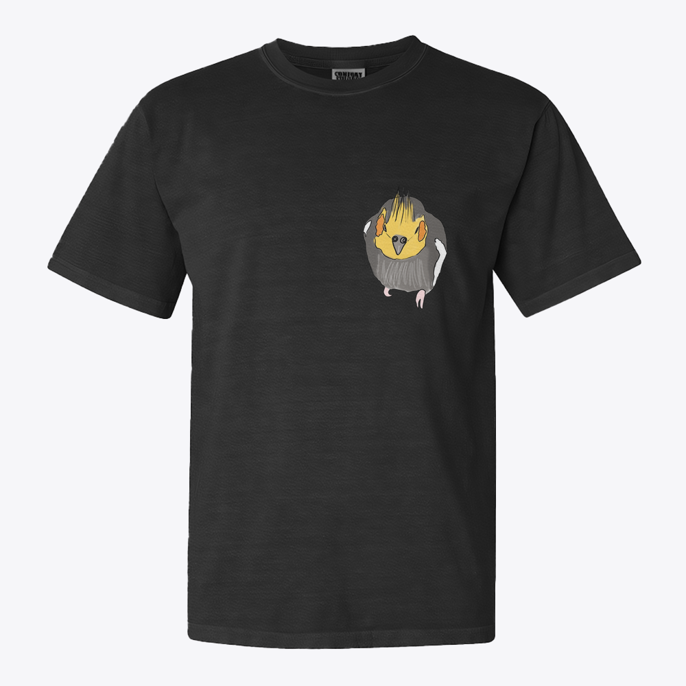 Clothing Mockup 39942 front